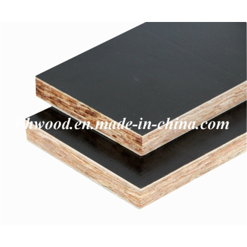 Film Faced OSB (Oriented Strand Board) for Construction